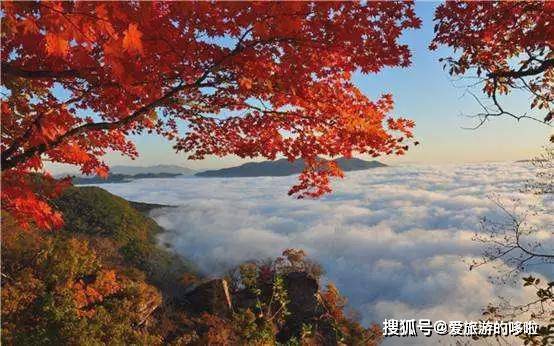 中国最早最美的秋天在这里 美的无可救药