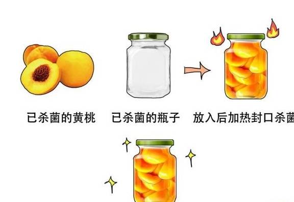 用什么做食品防腐剂 f269953e332e450dade3a25bb9837f62.jpeg