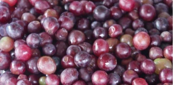 公婆|葡萄园老板教你自制葡萄酒，最后这步很重要，忽略易“爆炸”