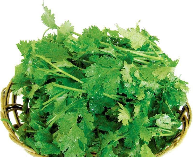 香菜怎么炒着才好吃 5c027ce9bff446b994802d9e5b2712b9.jpeg