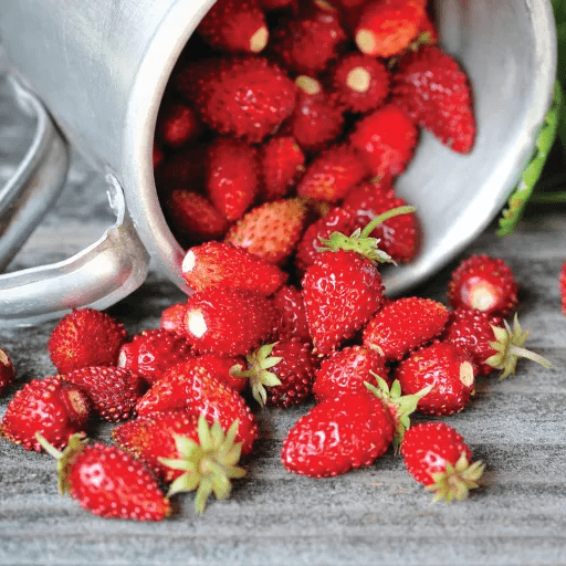 地区|别卡速:K87 领袖风范半干红