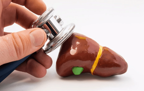 能力|肝病元凶找到了,想把乙肝连根拔起,养肝“大宝贝”多吃点就行了