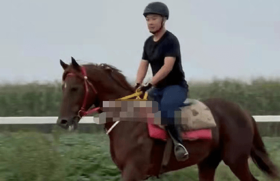 账号|“三个专场”被官方叫停,刘流替师二驴鸣不平怒斥四合传媒