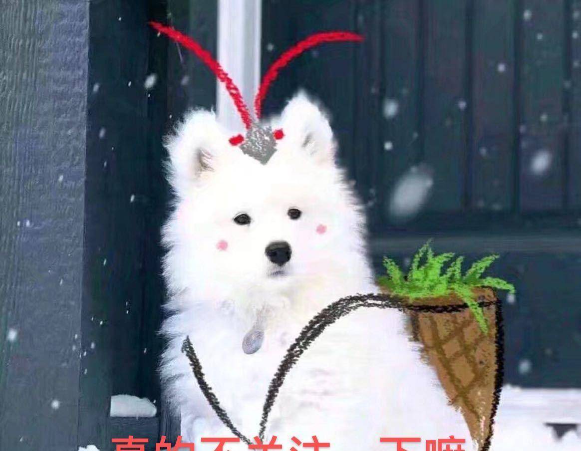 骄气|“最帅花城”新剧杀青,古装造型成焦点,网友:这不比成毅帅?