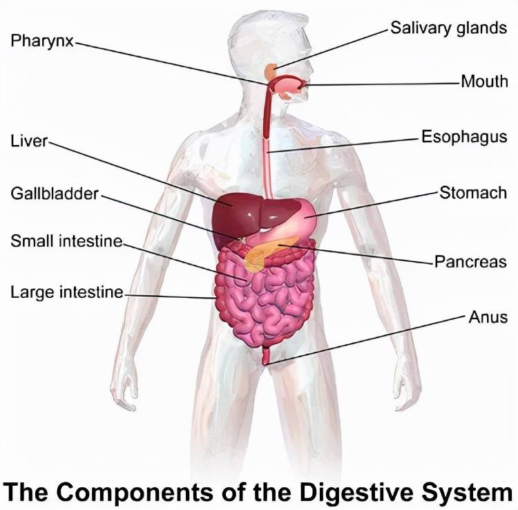 林允|林允近期爆照让人太意外了！她这算成功触底反弹了吗？