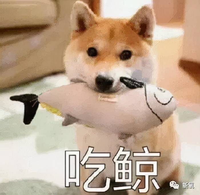 角色|被叫大妈的她们,年轻时个个是绝色!