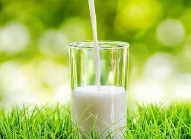 食品|零食不都是“垃圾食品”,过年给孩子吃这三种零食,好吃又健康