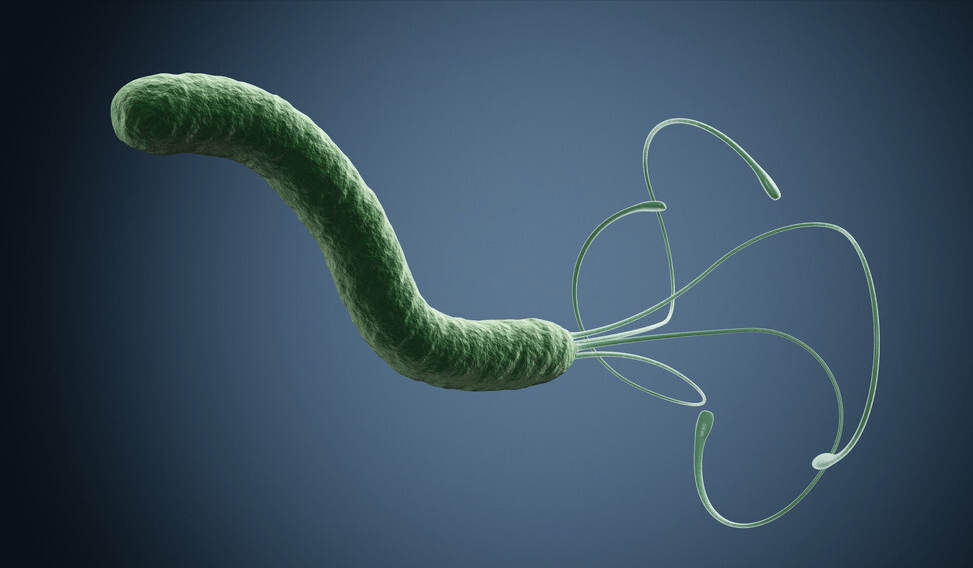 筛查|儿童感染幽门螺杆菌，要服药治疗吗？别急，先看消化科专家怎么说