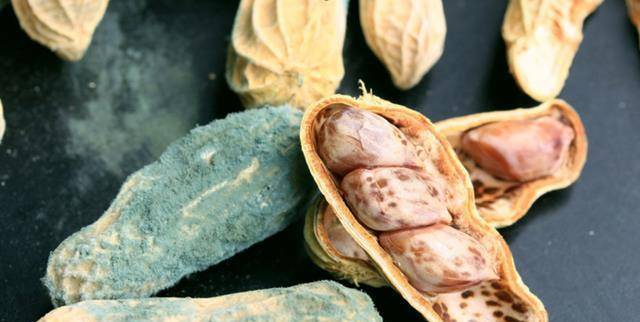 电脑|在睡觉前爱玩手机的人，身体若出现这4种情况，需注意一下