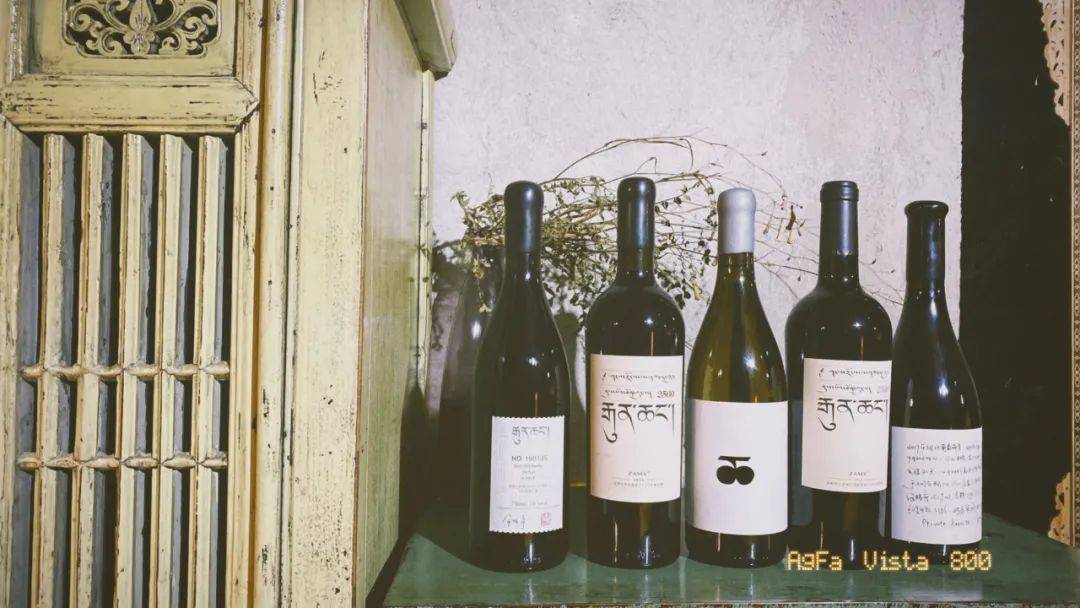 Wine|百馥访谈|前四大会计师事务所税务合伙人安洁,香格里拉葡萄酒产区研学感受