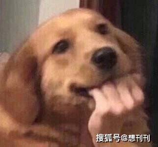 什么|五毒俱全！网剧主角配角一个比一个辣眼睛，整容崎岖超龄演技差…