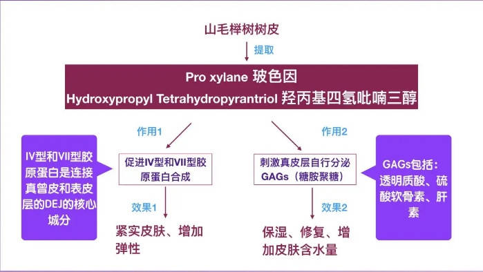 功效|眼霜的14大成分功效 你知道多少？