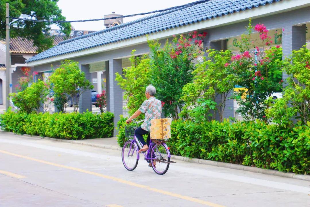 农村人居环境整治行动狮山镇南浦村自7月来大力推进的就以上这些问题