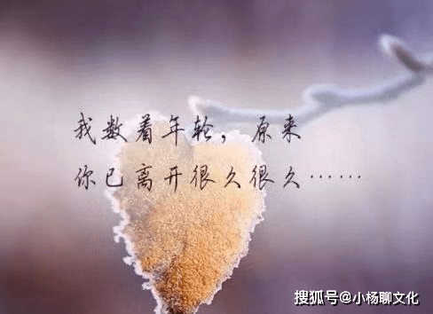 61ab9d7f36a448269cd6924d0c08f7bb.png
