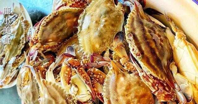 梭子蟹别再清蒸了 3种梭子蟹做法更美味 鲜香味美 百吃不厌 冬瓜