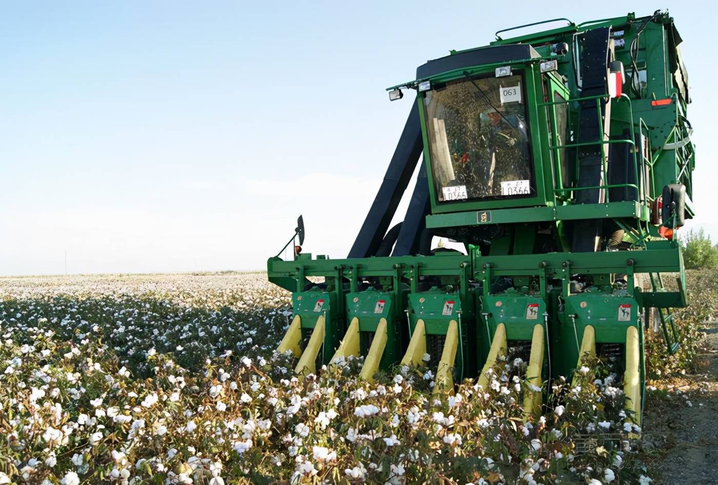 石河子迎来棉花采摘旺季机器与人力合作形成现代农业新模式