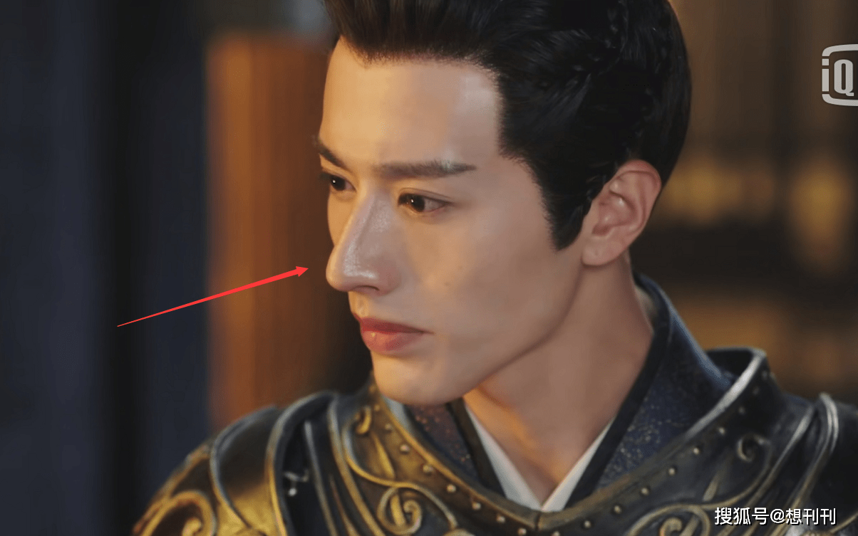 什么|五毒俱全！网剧主角配角一个比一个辣眼睛，整容崎岖超龄演技差…