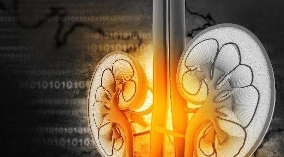 肾脏|肾衰竭的人，身体会发出3大“求救”信号，你若没有，就偷着乐吧