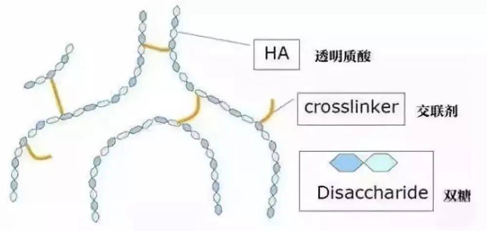 补充肌肤焕活？老网红终于通过认证，怕疼的你终于可以试试长效水光针啦~