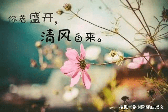 d0c66ef952ee4953a9b3e070726cb9a1.png