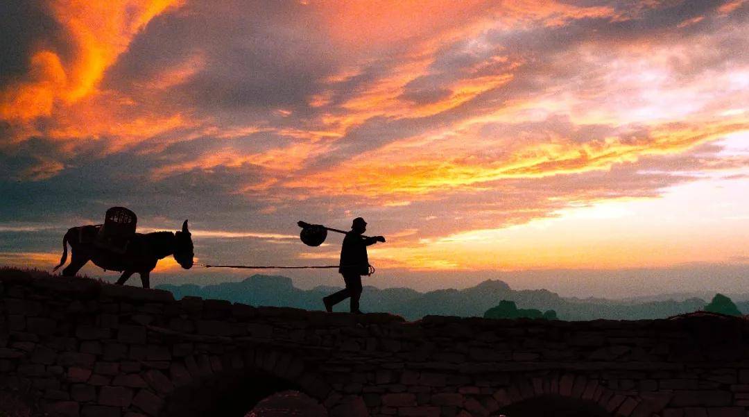 被称为|正是一年最美时