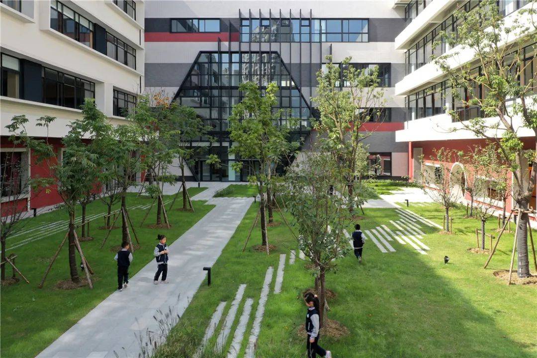 新作|BAU 新作 | 苏州科技城天佑实验小学及幼儿园