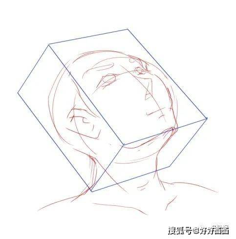 差不多绘画初学者需要学会的头部透视技巧