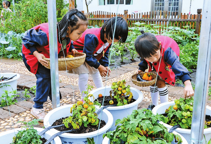 关系|幼儿园常见的“潜规则”，老师不说，但家长知道越早对孩子越好
