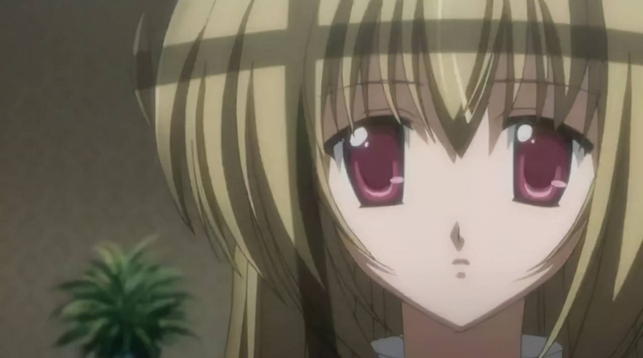 扮演,例如动漫《少女爱上姐姐》的男主角宫小路瑞惠便是一位女装大佬