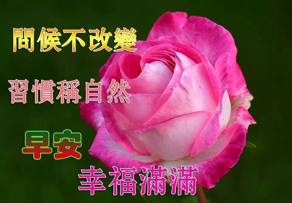 因为|9月25日秋季清晨问候朋友早上好的暖心祝福，最美早晨好群发动态美图