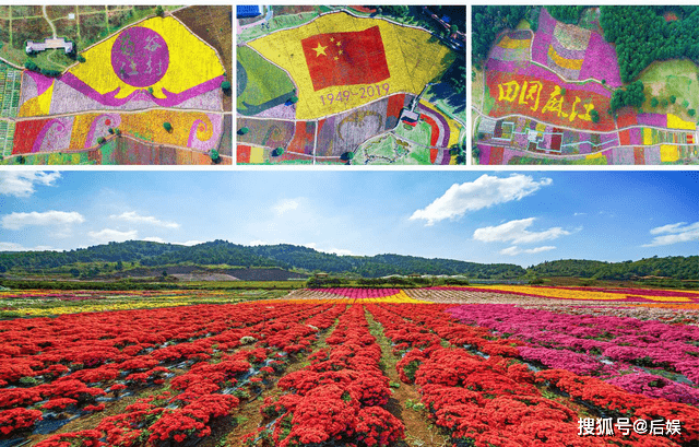 千亩菊花，万亩蓝莓，麻江这个县，真的要火了