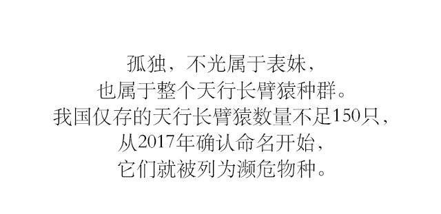 晨什么啼成语_阴啼长个疙瘩什么原因(4)