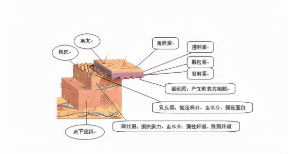 集锦水媚蛙：面膜知识集锦，作为女人你一定要知道