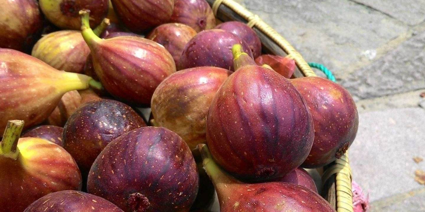 肝脏|肝不好的人,常吃这天然的“解毒王”,坚持1个周,肝会越来越好