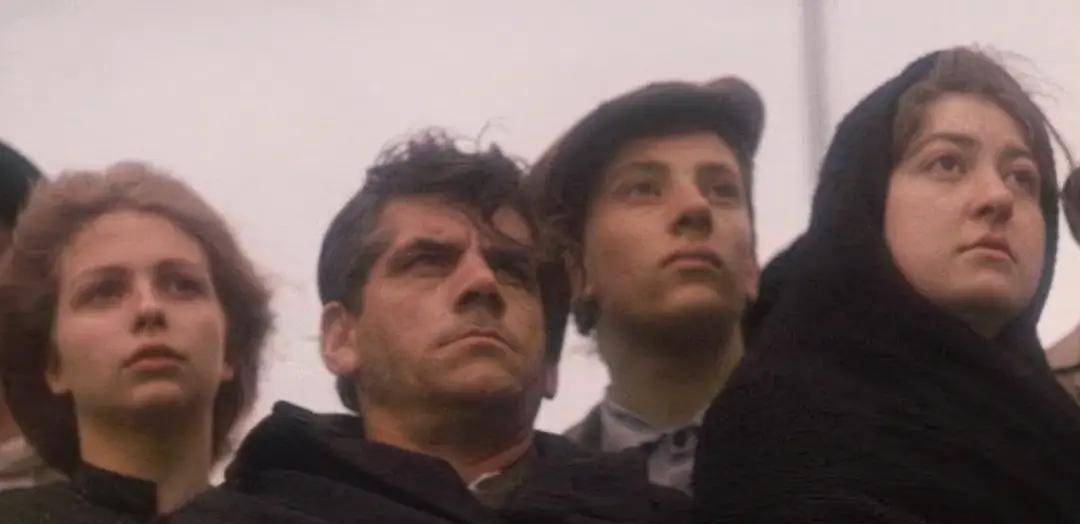 The|《The Father》观后感