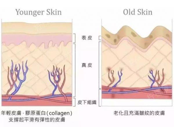 一生|抗衰不如“脸部养生”？最新推进美容院项目！