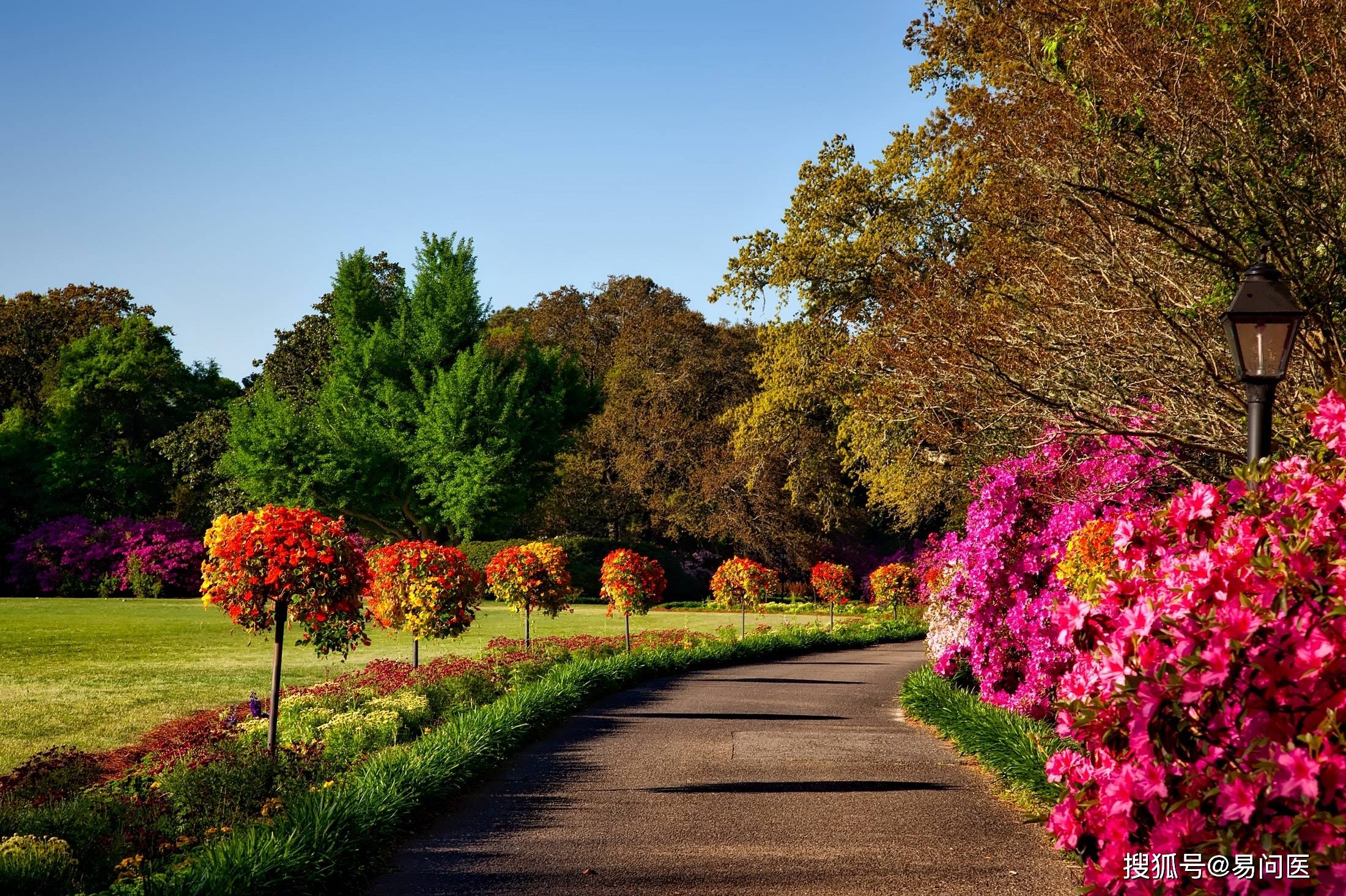 叶式|中年男人：冒着心衰脑梗风险，我从医院里跑出来