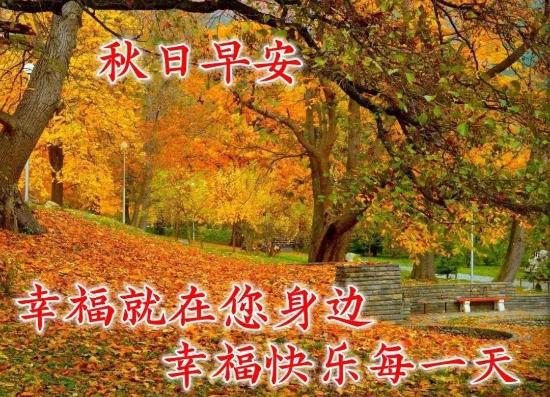 8张漂亮秋天风景早上好图片带字带祝福语 好看的秋日风景早安问候祝福语图片_生活