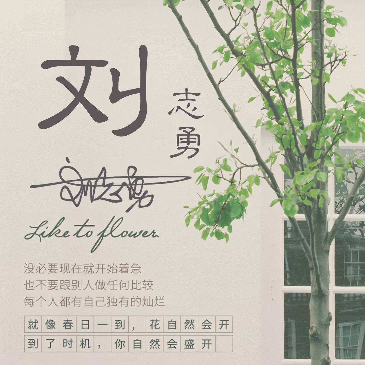 明煊 2021年你微信头像该换了，40张新款3D精致签名头像，等你来带走