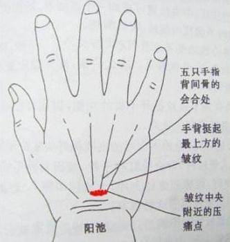 控制|血糖高的人,少吃三白,多补三物,记住三个字,血糖更平稳
