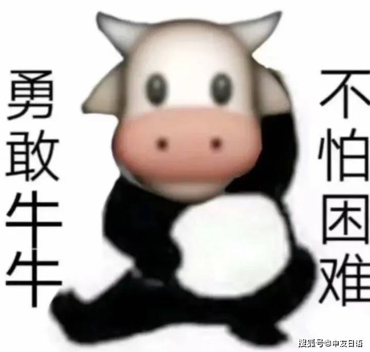 6fe380e1d6fd419e936967e4a7378433.jpeg