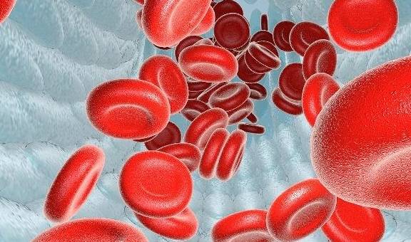 肾脏|肾友控血压，只限盐是不够的，记住2点，血压降下来了，肾也健康