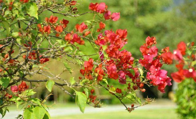 d325b1350b324334a0e9303769ccbcd9.jpeg