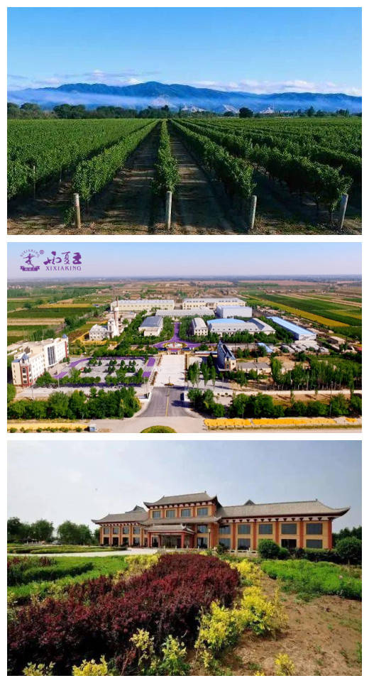 宁夏—全球葡萄酒旅游目的地,10条酒庄游路线,十一走一趟?_贺兰山