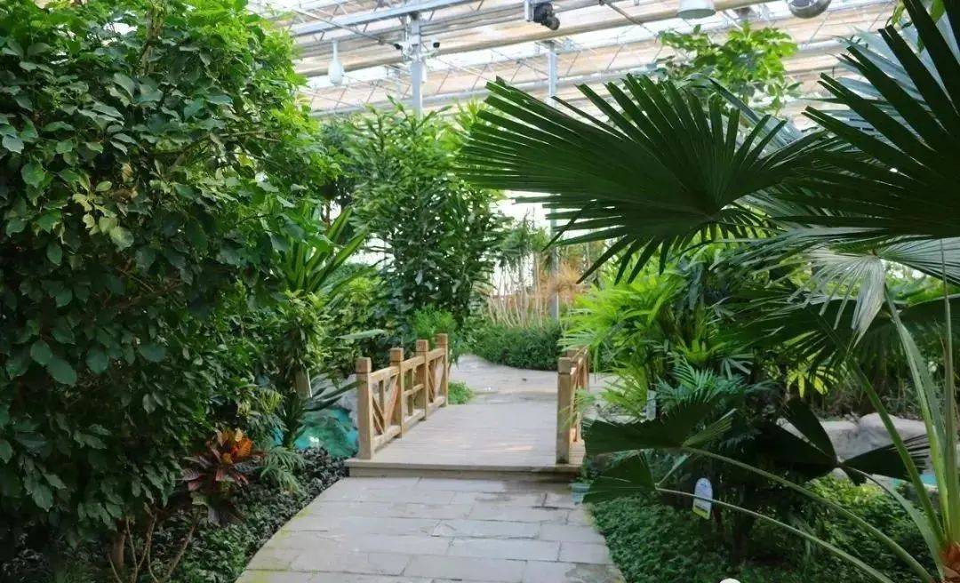 昌吉|跟着昌吉这趟“文化之旅”走一走 你一定沉醉!