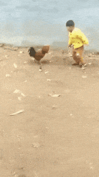 搞笑GIF：友情提示：不要穿裙子騎車 搞笑整蠱 第15张