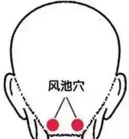 60c8197f1fe94dd7a6eaf6e5c4595a0d.jpeg
