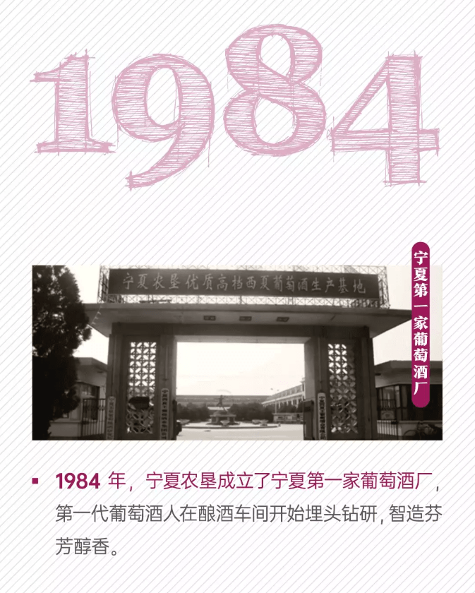 成长|宁夏葡萄酒的数字成长记！