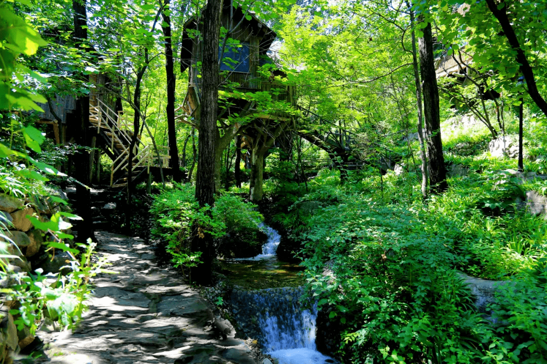 王啸|溪流欢腾、飞瀑如练，秋雨过后，济南这些原生态山水秘境美爆啦！