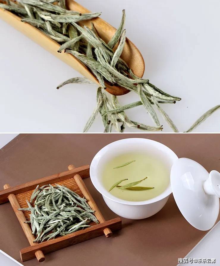 人体|胃不好，喝什么茶？